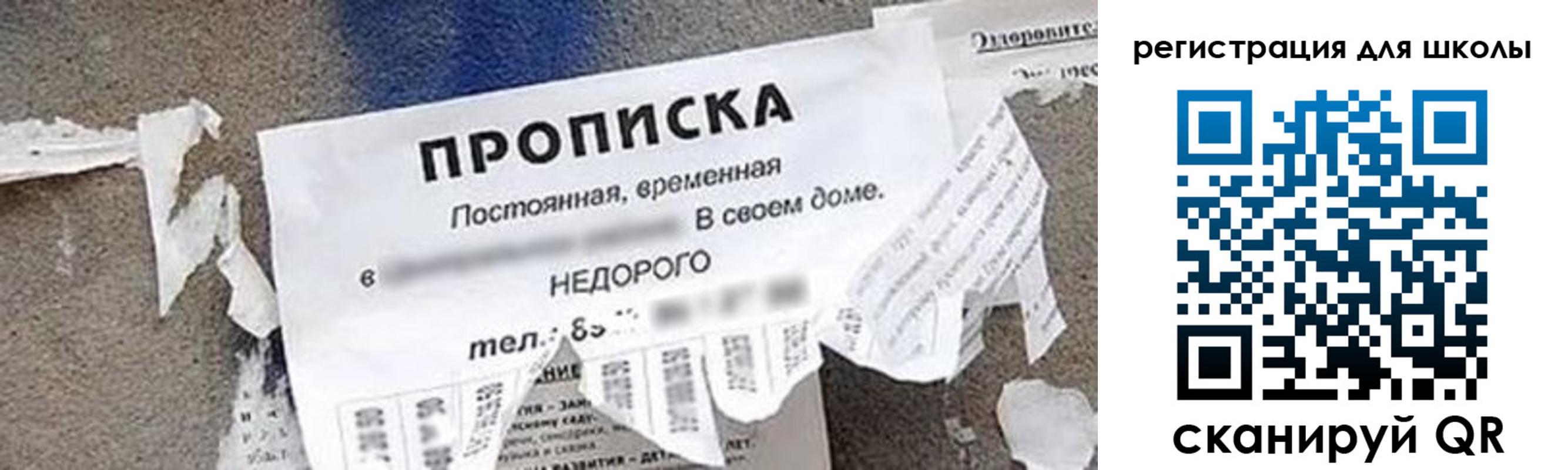 временная регистрация поиск в Волгоградской области